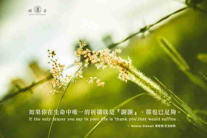 「如果你在生命中唯一的祈禱就是『謝謝』，那也已經足夠。」十四世紀的哲學家麥思特‧艾克哈特（Meister Eckhart）如是說