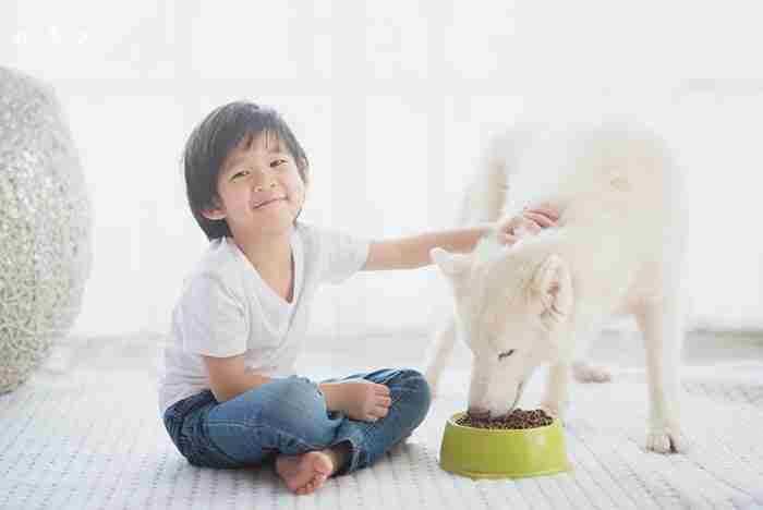 人類的生理結構和飲食天性，都和貓、狗等肉食動物不同。｜楊子佛教禮儀公司