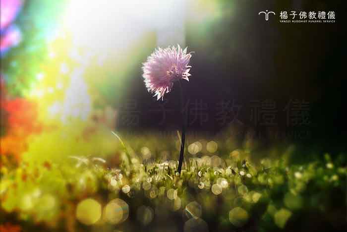印度詩人泰戈爾以「生,有如夏花之絢爛;死,有如秋葉之靜美」,表達對生死的注視與接受;佛教徒可以從佛法中動見觀瞻,認識生命的實相,一如聖嚴法師所說:「人生的終點,不是生命的結束,乃是無限的延伸以及圓滿的連續。」 印度詩人泰戈爾以「生,有如夏花之絢爛;死,有如秋葉之靜美」,表達對生死的注視與接受;佛教徒可以從佛法中動見觀瞻,認識生命的實相,一如聖嚴法師所說:「人生的終點,不是生命的結束,乃是無限的延伸以及圓滿的連續。」