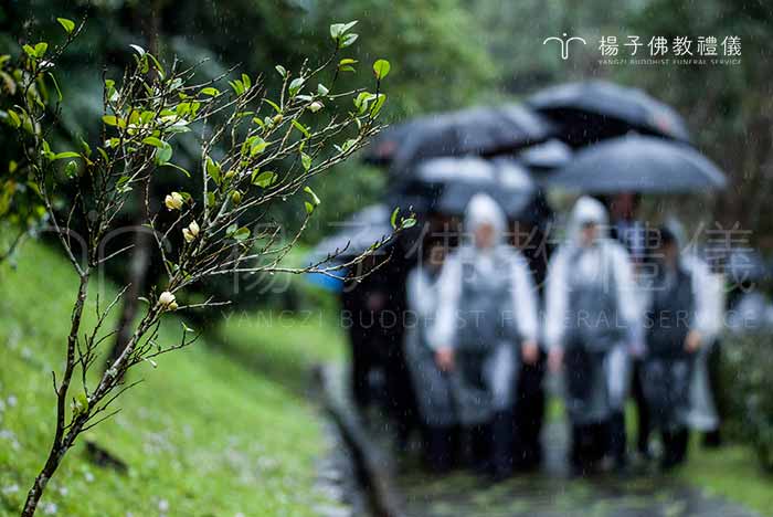 環保自然葬都是將遺骸火化後成為骨灰，之後不放入納骨塔，或不立墓碑、不造墳，甚至不記亡者姓名，以永久完全回歸大地的方式，而稱為綠色葬禮。｜楊子佛教禮儀公司