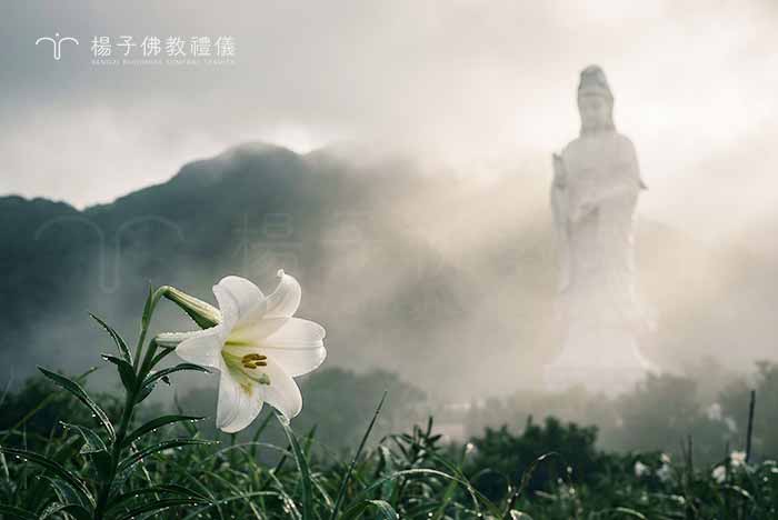 持念延命十句觀音經，能洗滌身心煩惱塵垢。楊子佛教禮儀圓滿承辦此法緣，見證禪門心燈延續 。｜楊子佛教禮儀公司