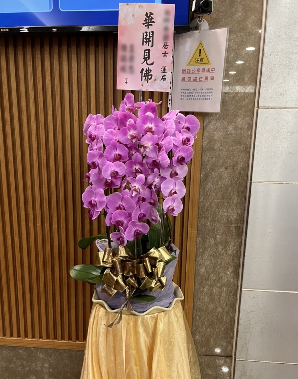 粉色蝴蝶蘭藝術盆花